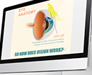 Inside the Eye Animation